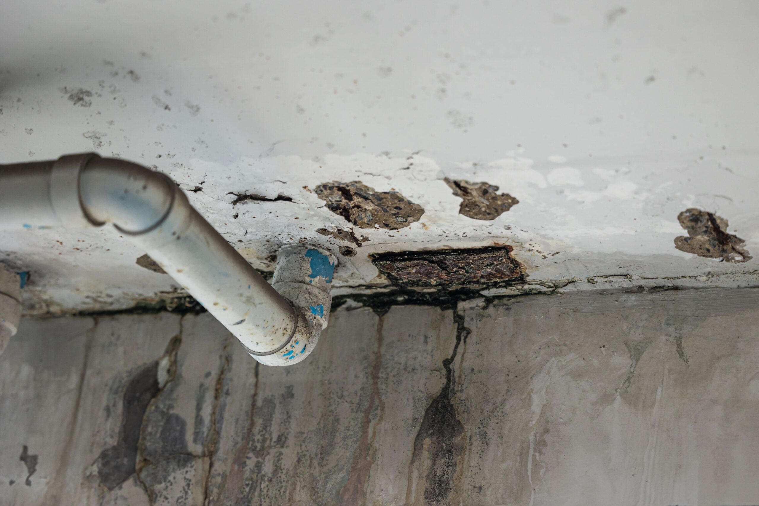 roof leak repair nashville