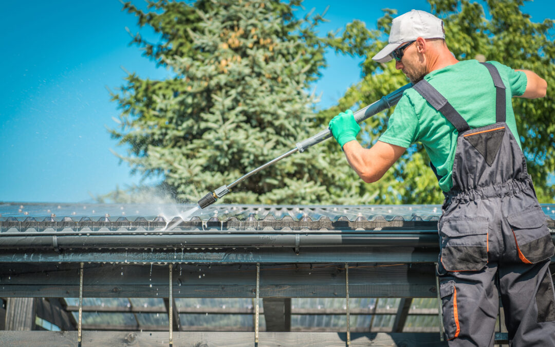 Professional Roof Cleaning Services in Nashville, TN – DLV Roofing