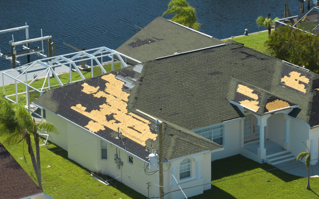 What Does Hail Damage Look Like on a Roof? (With Photos)