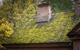 How to Get Rid of Moss on Your Roof: A Step-by-Step Guide