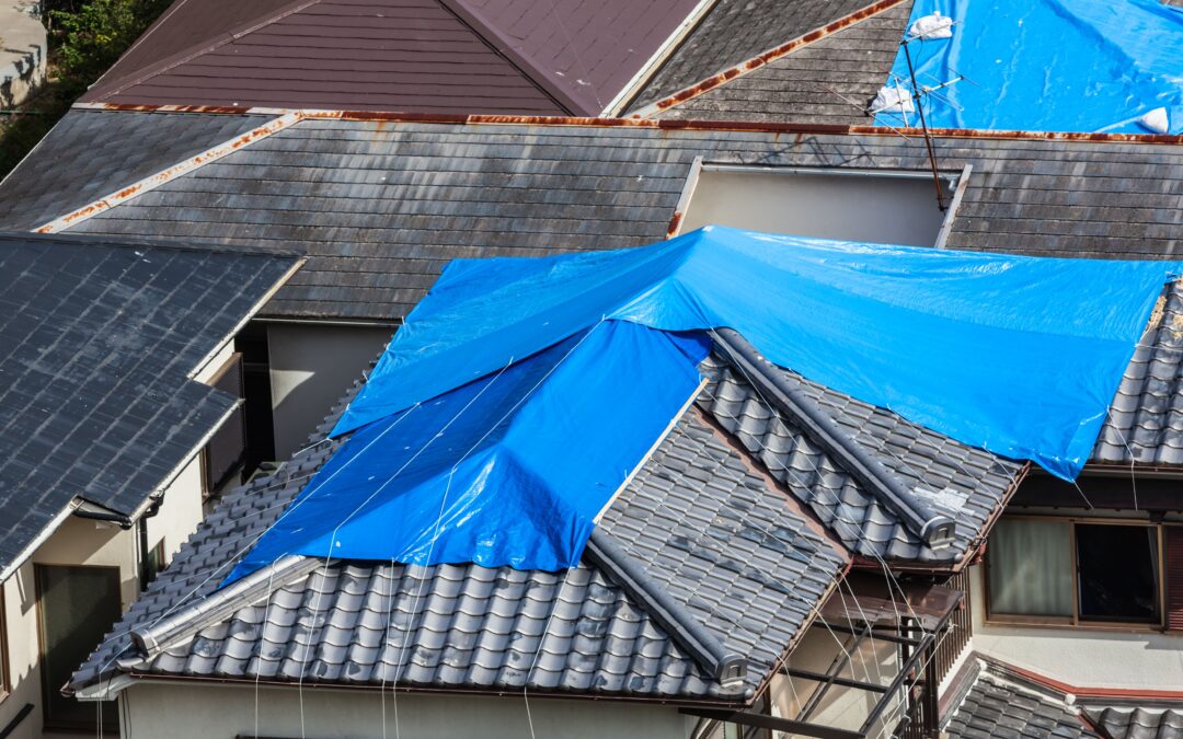 When & How to Tarp a Roof to Prevent Further Damage